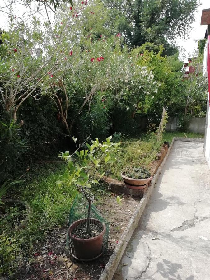 Casa Vacanze Mare Lido di Scacchi Kültér fotó