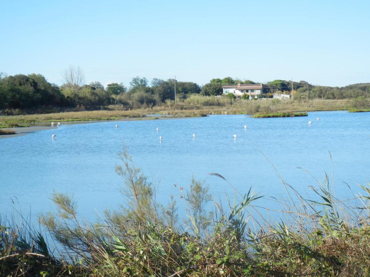 Casa Vacanze Mare Lido di Scacchi Kültér fotó